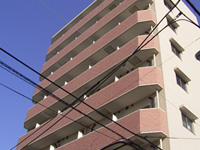 �E�B�[�N���[�}���V�����r��SM